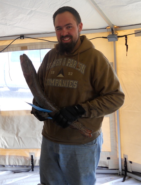 Photo of a fisherman holding a burbot caught in the Flaming Gorge during the 2011 Burbot Bash